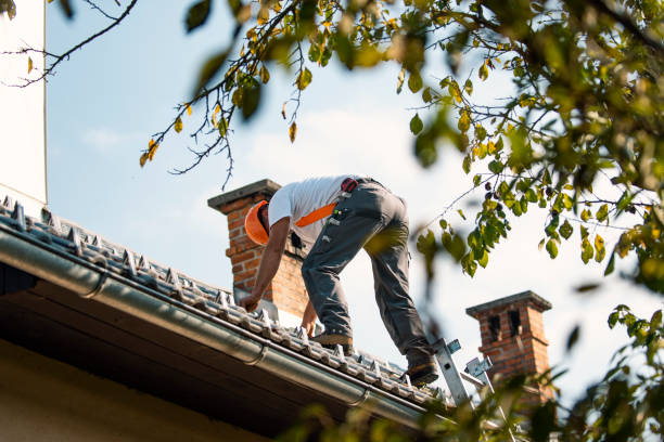 Best Flat Roof Repair Services  in Ainaloa, HI