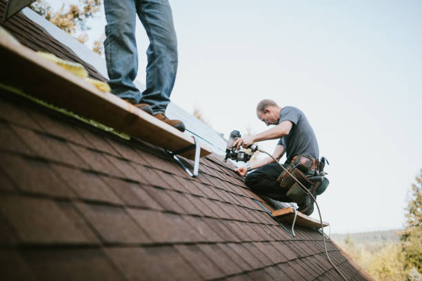 Best Best Roofing Contractors  in Ainaloa, HI